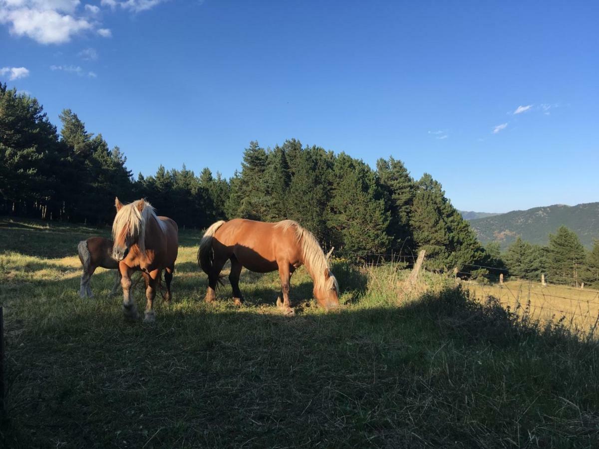 Chambres D'Hotes Le Serpolet Les Angles  Dış mekan fotoğraf